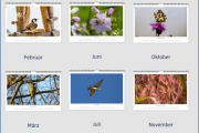 Wandkalender 2025 Natur